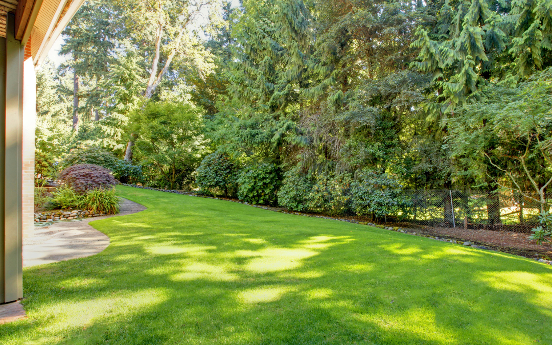 Spring Curb Appeal: The Essential Yard Cleanup Checklist for Tennessee Sellers